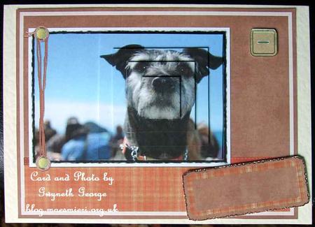 Beauty Dog Card Kit by GWYNETH GEORGE