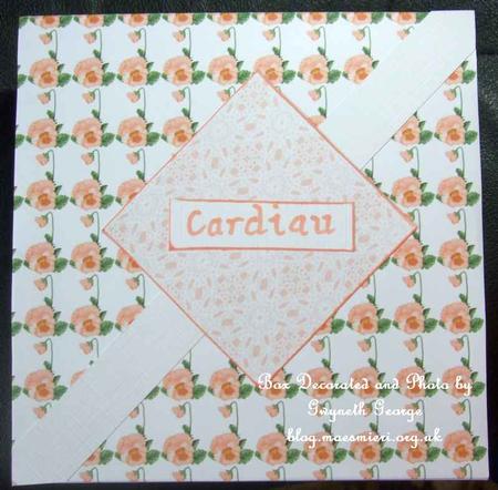 Lace Backing Paper Sheet #l50m by GWYNETH GEORGE