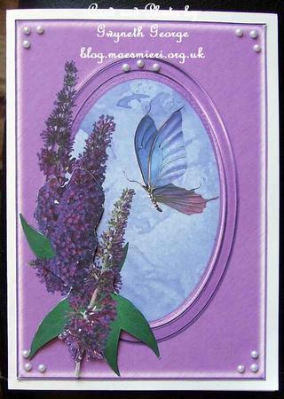 Butterflies & Buddleia Mini Kit by GWYNETH GEORGE