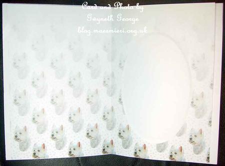 West Highland White Terrier 3 Insert by GWYNETH GEORGE