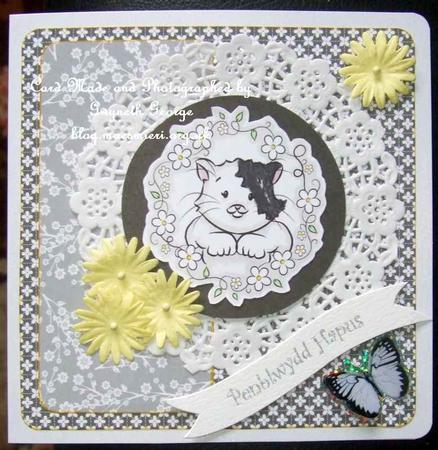 6 Cute Kittens and Floral Borders Featured Gallery Photo