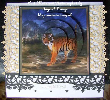 Mountain Tiger Circle Pyramid by GWYNETH GEORGE