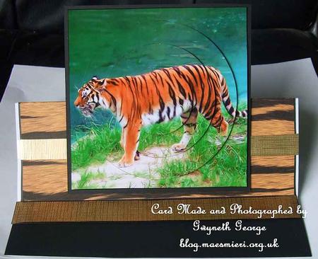 Tiger Circle Pyramid by GWYNETH GEORGE
