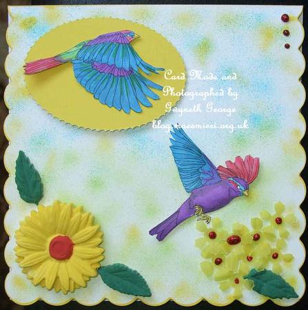 Bird Collection by GWYNETH GEORGE