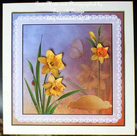 Daffo Down Dilly by GWYNETH GEORGE