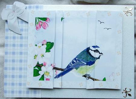 Blue Tit on an Apple Blossom Tree Branch by GWYNETH GEORGE