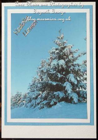 Snow by GWYNETH GEORGE