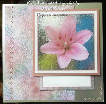 Pink Lily by GWYNETH GEORGE