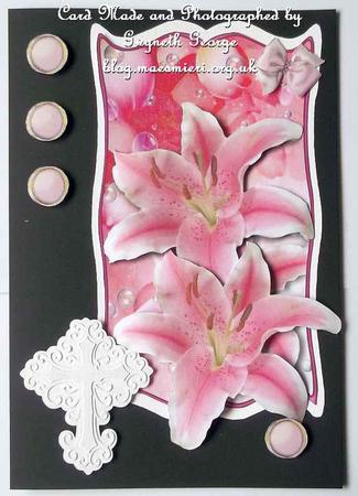 Any Reason Pretty in Pink by GWYNETH GEORGE