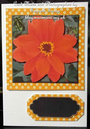 Orange Flower Topper by GWYNETH GEORGE