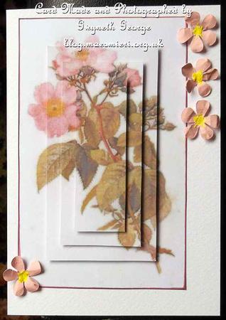 Pink Wild Rose Pyramage Topper by GWYNETH GEORGE