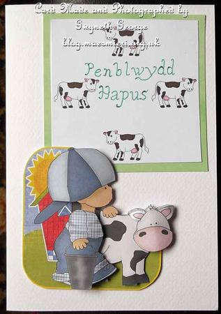 Cow Backing Paper by GWYNETH GEORGE