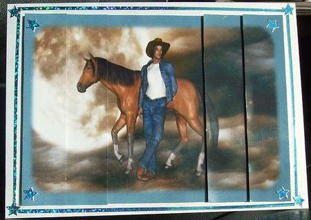 Midnight Cowboy Tunnel Sheet by GWYNETH GEORGE