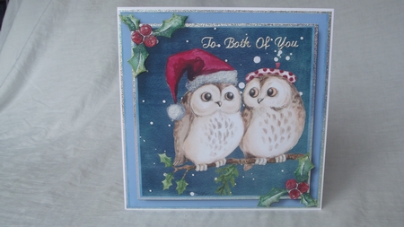 Christmas Couple - Festive Owls by Gwyneth Morley