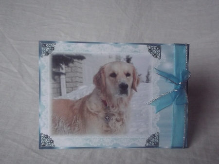 Golden Retriever Dog in the Snow Wavy Edge Side Stacker by Gwyneth Morley