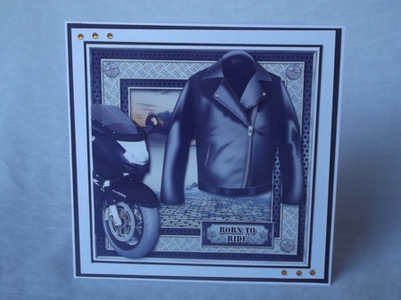 Born to Ride by Gwyneth Morley