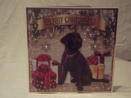 CHOCOLATE LAB by Gwyneth Morley