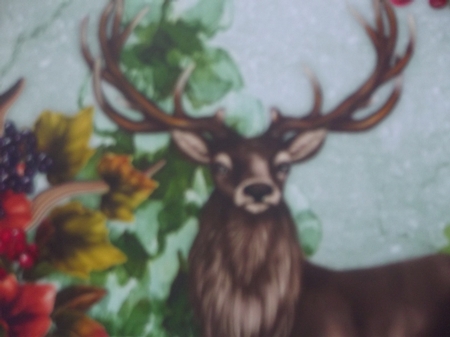 The Majestic Stag  by Gwyneth Morley