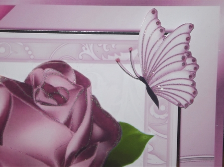 A single pretty pink rose with corner bow in ornate frame 8x8 by Gwyneth Morley