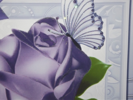A single pretty purple rose with corner bow in ornate frame 8x8 by Gwyneth Morley