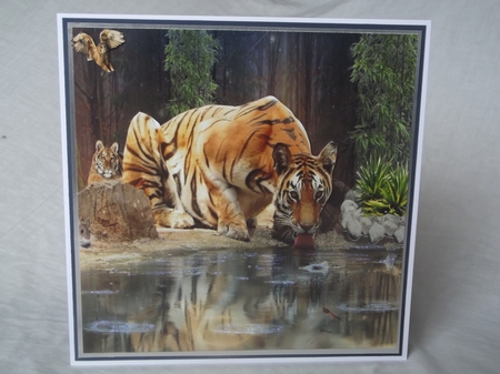 drinking by Gwyneth Morley
