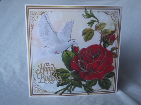 Beautiful big red rose, with white dove 8x8 by Gwyneth Morley