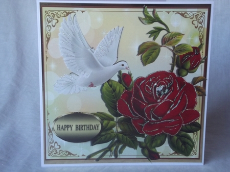 Beautiful big red rose, with white dove 8x8 by Gwyneth Morley