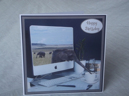 NELLY 6X6 by Gwyneth Morley