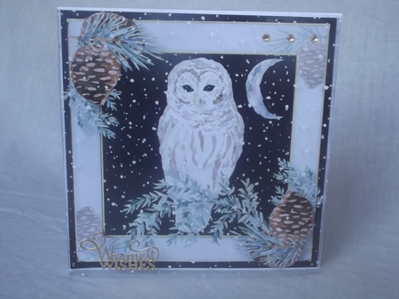 Christmas Moon Owl by Gwyneth Morley