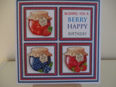 WELL PRESERVED JAM SQUARES 7.5 Quick Layer Card Ages & Insert Mini Kit  by Hanne Rix