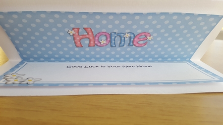 Large Dl New Home Matching Large Dl Insert by Hayley Griffiths