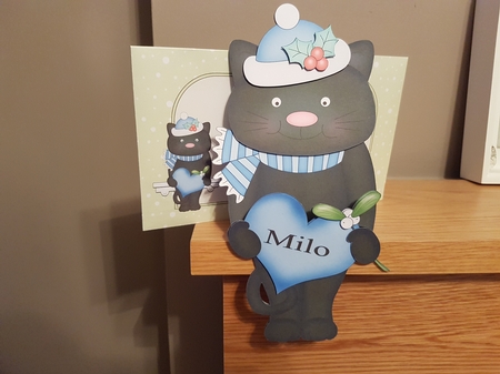 3D on the Shelf Card Kit - Christmas Little Cat Sooty by Hayley Griffiths