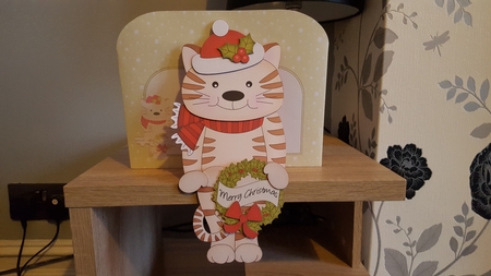 3D on the Shelf Card Kit - Little Christmas Cat Fudge by Hayley Griffiths