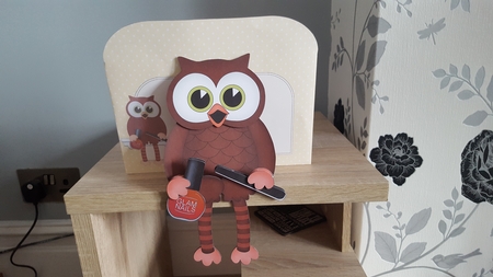 3D On the Shelf Card Kit - Little Hoot Owl Glam Nails Nail Technician by Hayley Griffiths