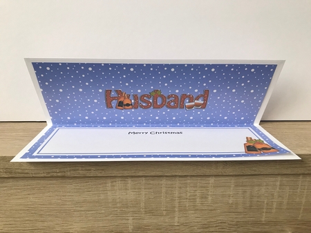 Large DL MERRY CHRISTMAS insert by Hayley Griffiths
