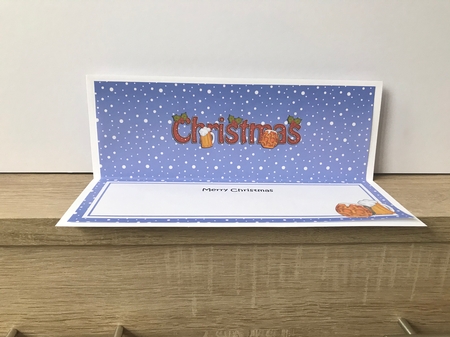 Large DL MERRY CHRISTMAS insert by Hayley Griffiths