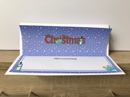 Large DL MERRY CHRISTMAS insert by Hayley Griffiths