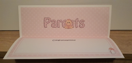 Large DL TO THE PROUD NEW PARENTS insert by Hayley Griffiths