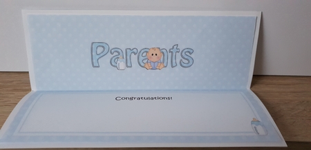 Large DL TO THE PROUD NEW PARENTS insert by Hayley Griffiths