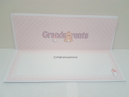 Large DL TO THE PROUD NEW GRANDPARENTS insert by Hayley Griffiths