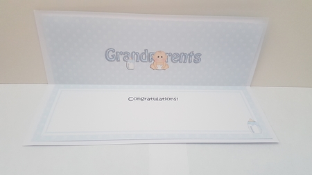 Large DL TO THE PROUD NEW GRANDPARENTS insert by Hayley Griffiths