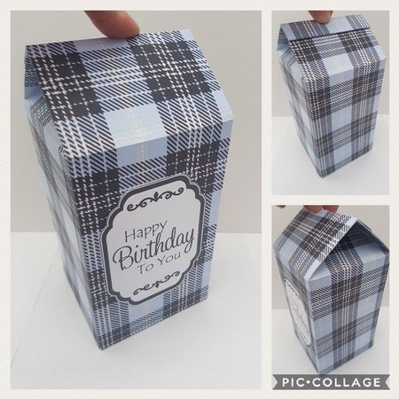 3D Tartan Milk Carton Treat Box Mini Kit by Hayley Griffiths