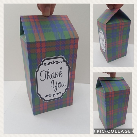 3D Tartan Milk Carton Treat Box Mini Kit by Hayley Griffiths