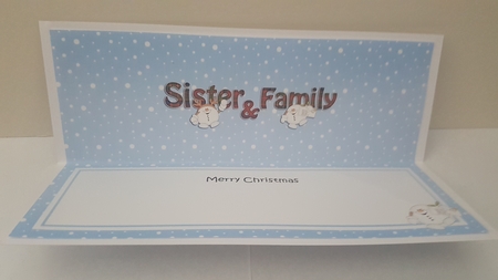 Large DL Merry Christmas SISTER & FAMILY insert by Hayley Griffiths