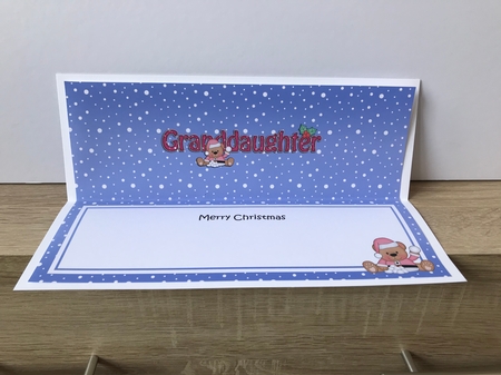 Large DL Merry Christmas GRANDDAUGHTER insert with Livvy Bear by Hayley Griffiths