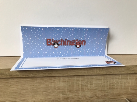 Large DL Merry Christmas from BIRCHINGTON insert by Hayley Griffiths