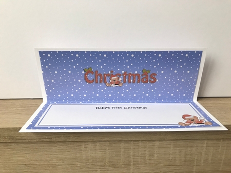 Large DL BABYS FIRST CHRISTMAS insert by Hayley Griffiths