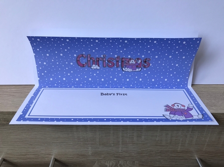 Large DL BABYS 1st CHRISTMAS insert with Snowman Rio by Hayley Griffiths