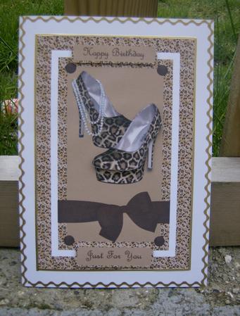 Shoes to Die for Spinner by Hayley Griffiths
