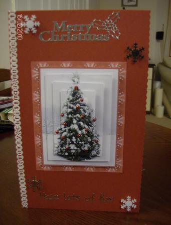 Decorated Christmas Tree by Hayley Griffiths